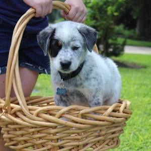 Meet your Posher, Montse