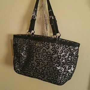 Zebra coach purse , purple inside