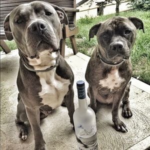 Meet your Posher, Jaclyn