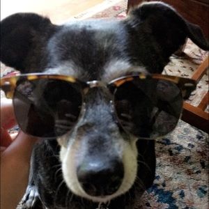 Meet your Posher, Grace