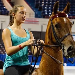 Meet your Posher, Sophie