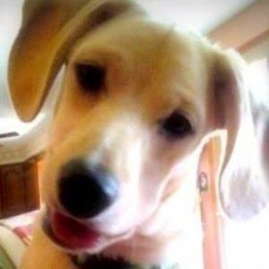 Meet your Posher, Deb