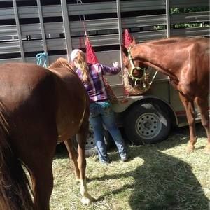 Meet your Posher, Rachel