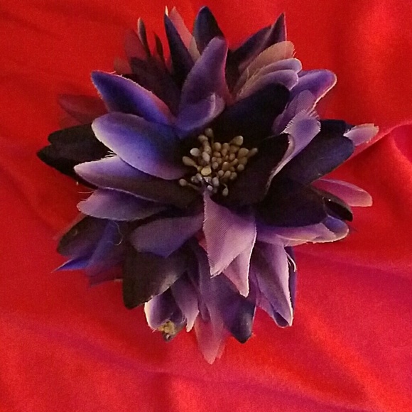 Hair elastic and pin for hair