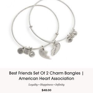 Alex And Ani Best Friend Bracelet