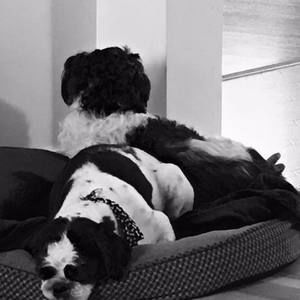 Meet your Posher, Rhonda