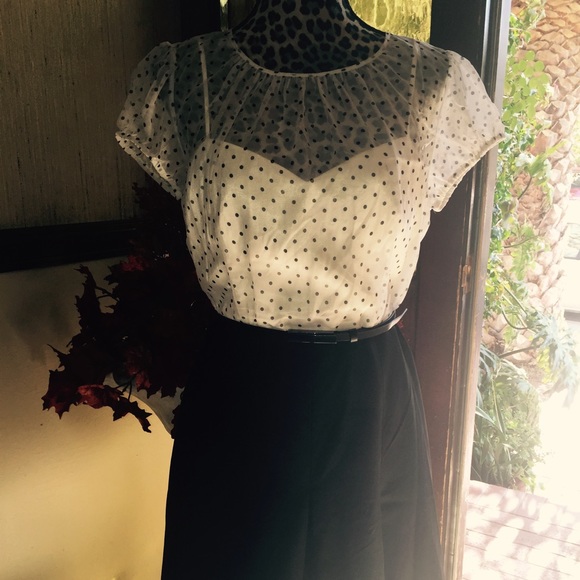 Tahari polka dot dress - Picture 4 of 5