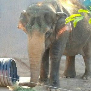 Meet your Posher, Cassandra