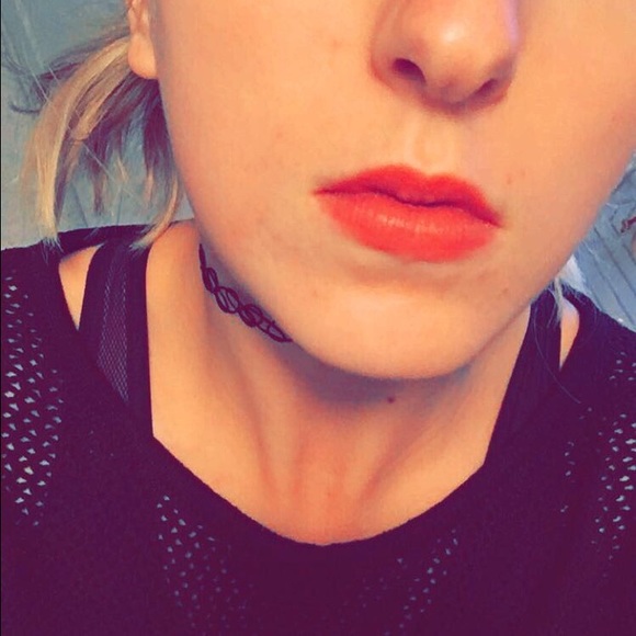 Meet your Posher, Bailey - Picture 3 of 3