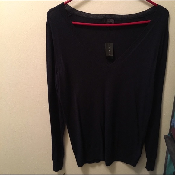 The Limited navy vneck sweater