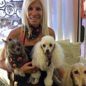 Meet your Posher, Ellen