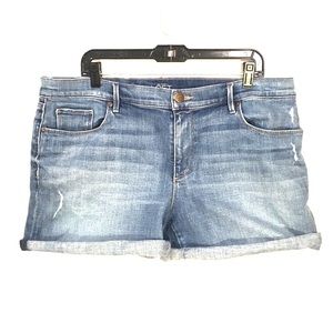 Ann Taylor Loft Jean Shorts