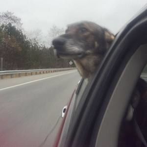 Meet your Posher, Garrett