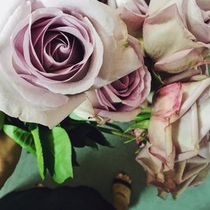 Meet your Posher, Victoria