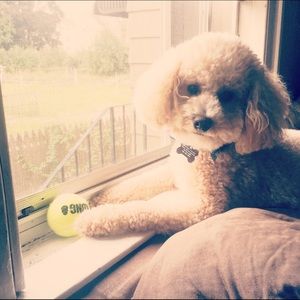 Meet your Posher, Brooke