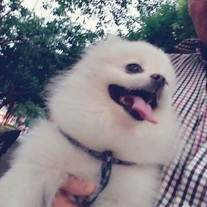 Meet your Posher, Qian