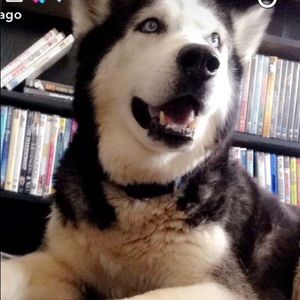 Meet your Posher, Kaylee