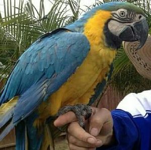 Meet your Posher, Jose