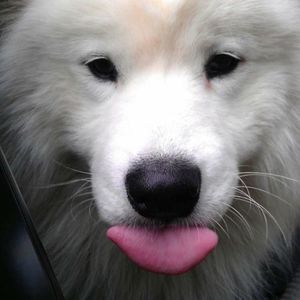 Meet your Posher, Selena