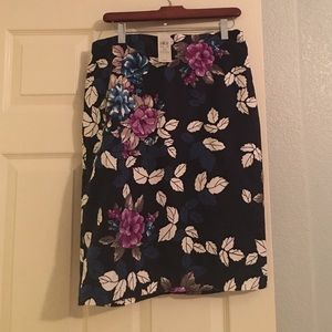 Beautiful Ann Taylor Skirt NWT