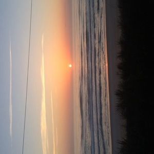 Meet your Posher, Anne