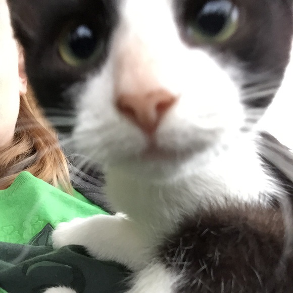 Meet your Posher, Sandra - Picture 1 of 1