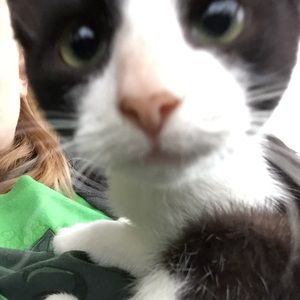 Meet your Posher, Sandra