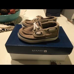 Toddler boy Sperry shoes
