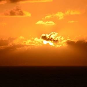 Meet your Posher, Detlev