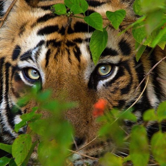 Meet your Posher, Regina - Picture 1 of 1