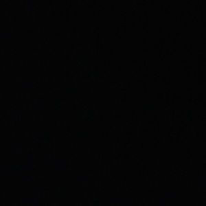 Meet your Posher, Lizzy