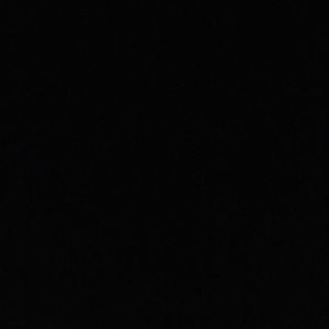 Meet your Posher, Neisha