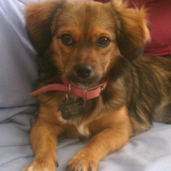 Meet your Posher, Adrian