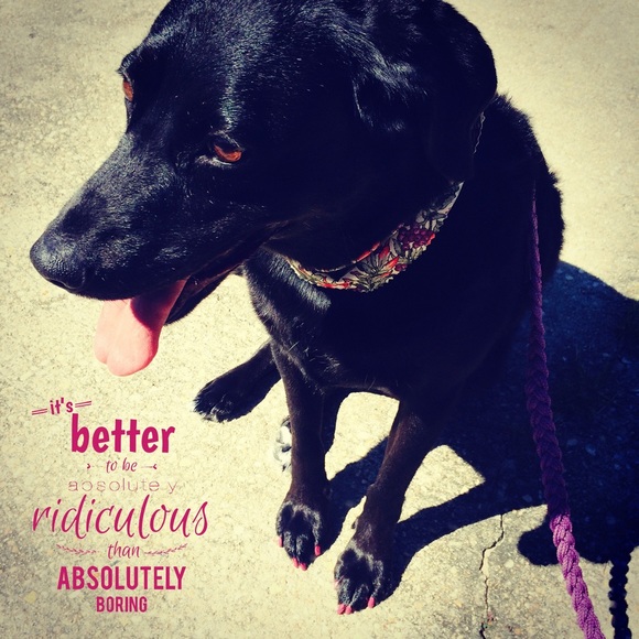 Meet your Posher, Abigail - Picture 1 of 1