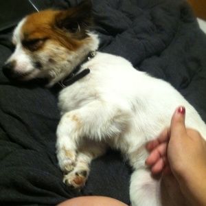 Meet your Posher, Anthony