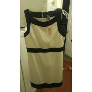 Ann Taylor dress Size 8petite