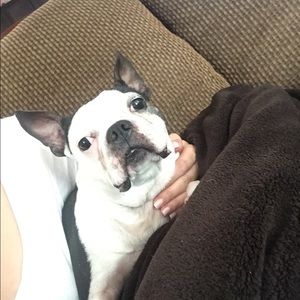 Meet your Posher, Kari