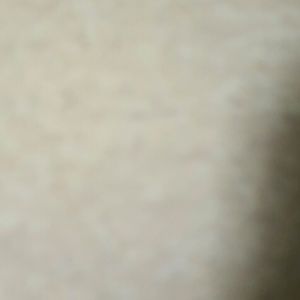 Meet your Posher, Leela