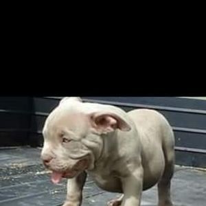 Meet your Posher, James ga