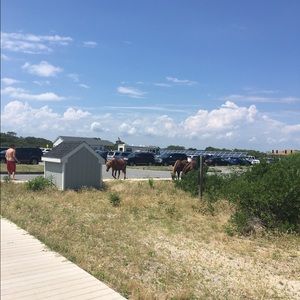 Meet your Posher, Janed