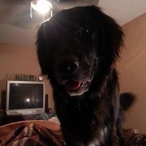 Meet your Posher, Becky