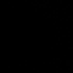 Meet your Posher, Destiny