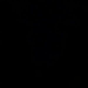 Meet your Posher, Beverly