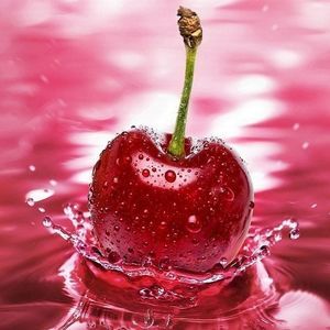 Meet your Posher, Tasha