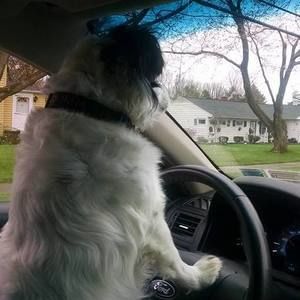 Meet your Posher, Becky