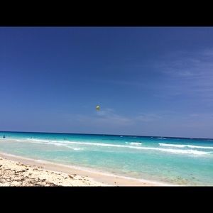 Meet your Posher, Shelia