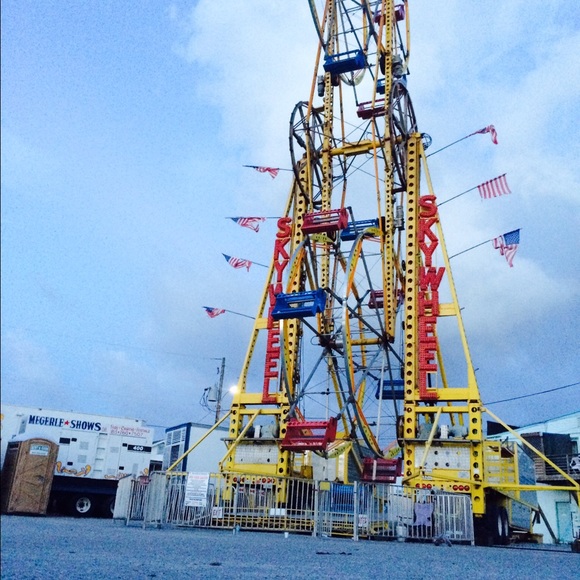 Meet your Posher, Sam - Picture 1 of 1