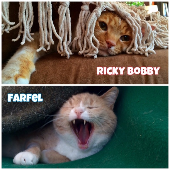 I'm just here to make room in my closet, not $$. - Picture 2 of 2