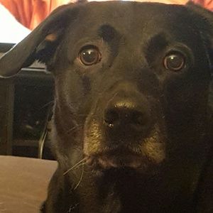 Meet your Posher, Jon