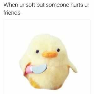 Meet your Posher, Martha